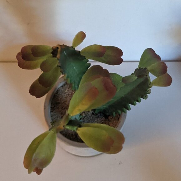 NWT Ashland Faux Triple Succulent Plant As-Is Pot Floral Michael's Desert Summer - Picture 6 of 10